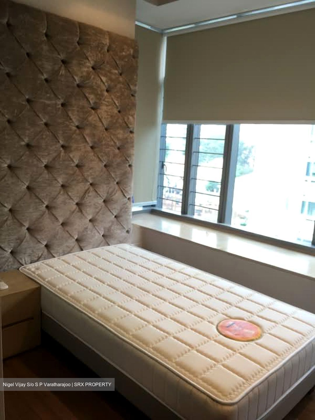 Residences @ Evelyn (D11), Condominium #580681361